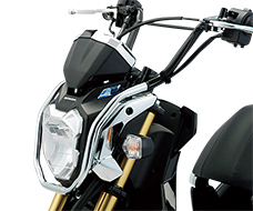 H2C ZOOMER-X ヘッドライト サイドカバー ガーニッシュ