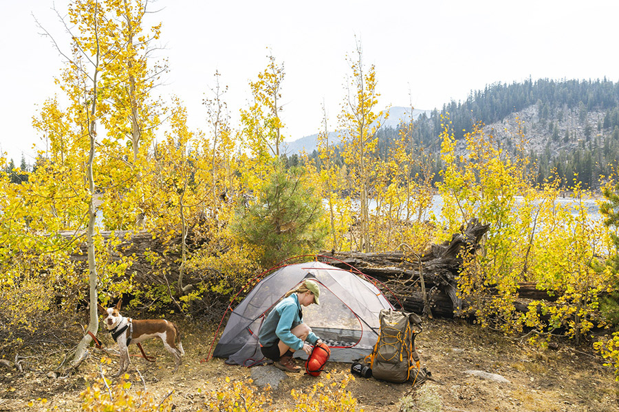 アルプスマウンテニアリング(Alps Mountaineering) Camp チェア